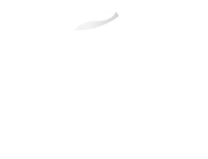 Кинто Воронеж